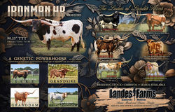 BC Sale Ad 2025 Spring Landes Farms Two Page Spread-FINAL-update with names