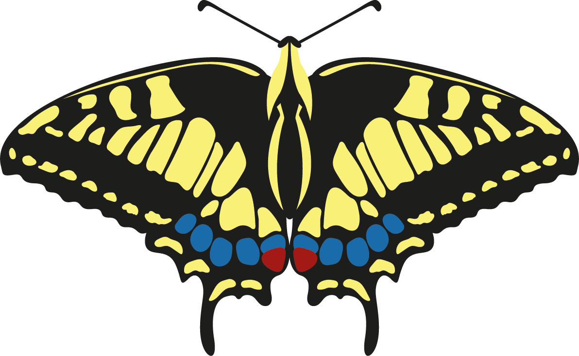 Logo_NFV_2026.png