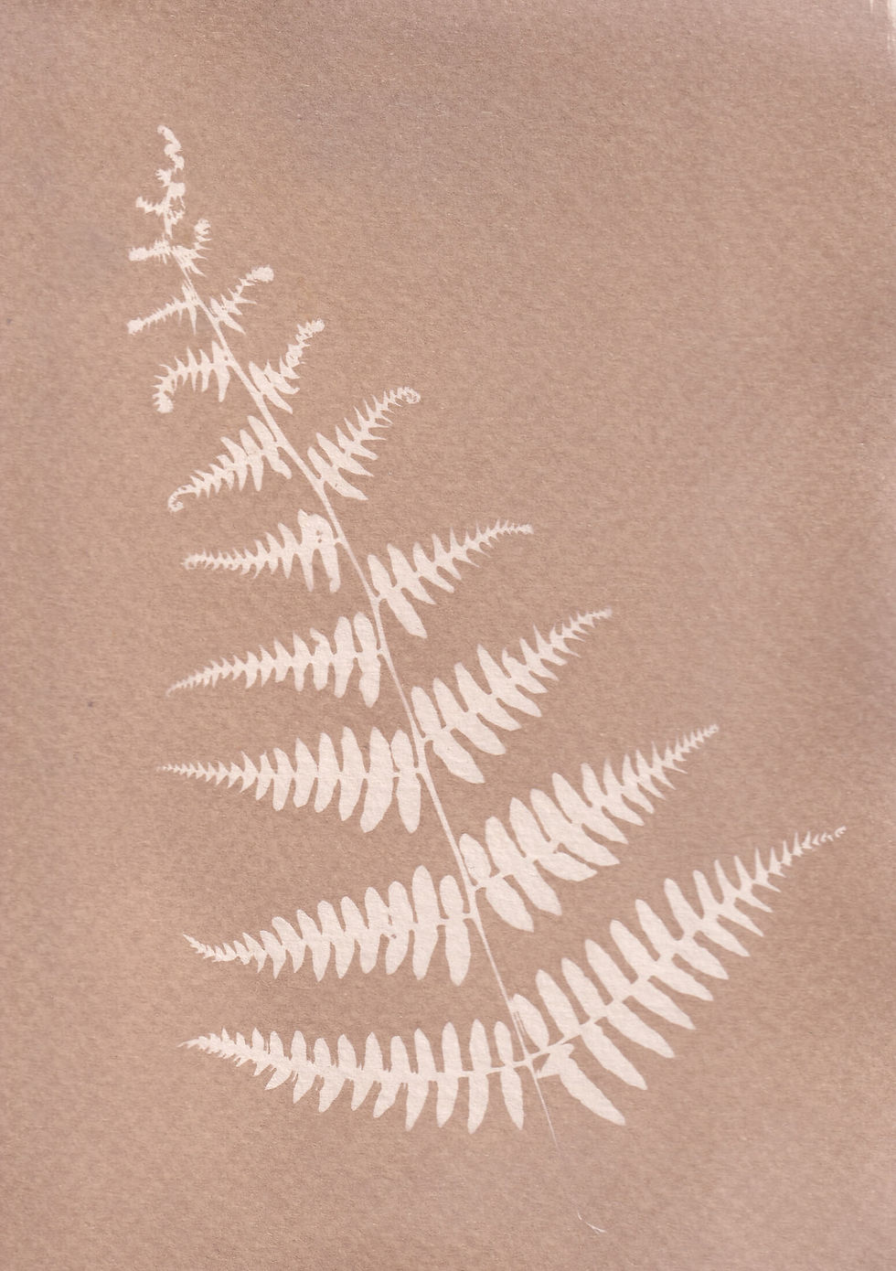 Botanical Cyanotype Toning Workshop