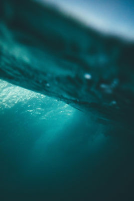 pexels-ollivves-1074505.jpg