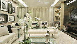 Living-em-Londres-Viviane-Loyola