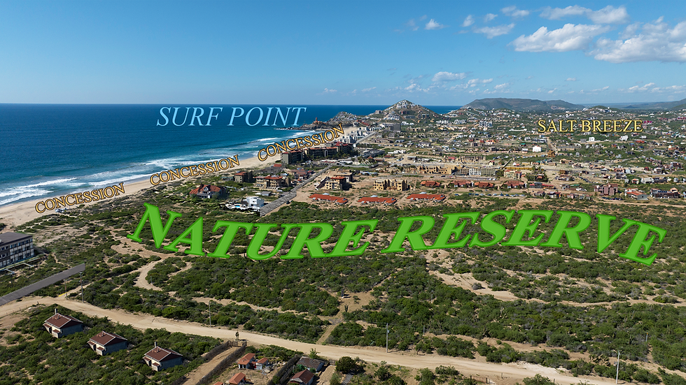 future SCE6_v17(3).png