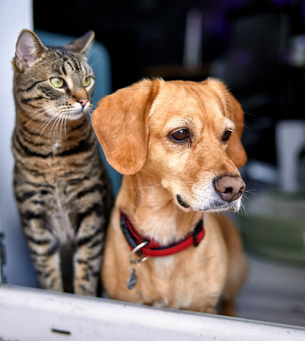 iStock-1364253107.jpg