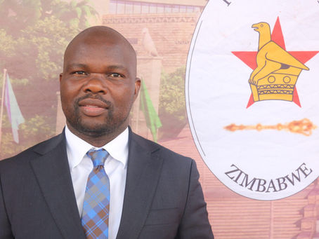 Tino Machakaire, Fadzayi Mahere, Social media, Communications, Strategy, Zimbabwe, Government, Crisis Management