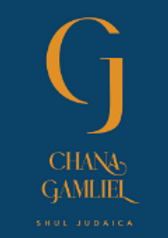 צילום מסך 2024-11-05 104848.png