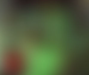 ANJO OU DIABO DOS CAVALEIROS: QUEM É O CAVALEIRO VERDE?