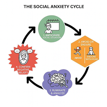 Picture showing the social anxiety cycle