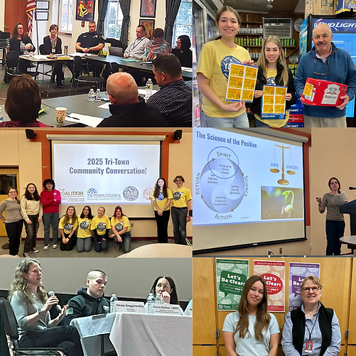 Coalition collage.png