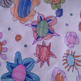 1.º ano - Elementos Naturais
