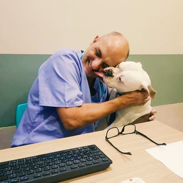 especiliadades veterinárias