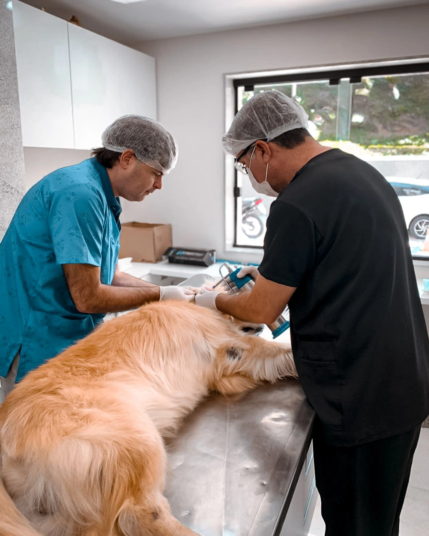 Criocirurgia com Dr. Andre e Dr. Bruno