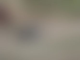 Ukraine : La Capture Spectaculaire d’un Véhicule Blindé Russe en Pleine Bataille