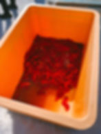 Salted chilis in a yellow bin