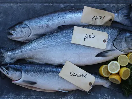 Three fish labeled Coho, King, and Sockeye lie on a dark surface. Lemon slices and dill are nearby. The mood is fresh and vibrant.