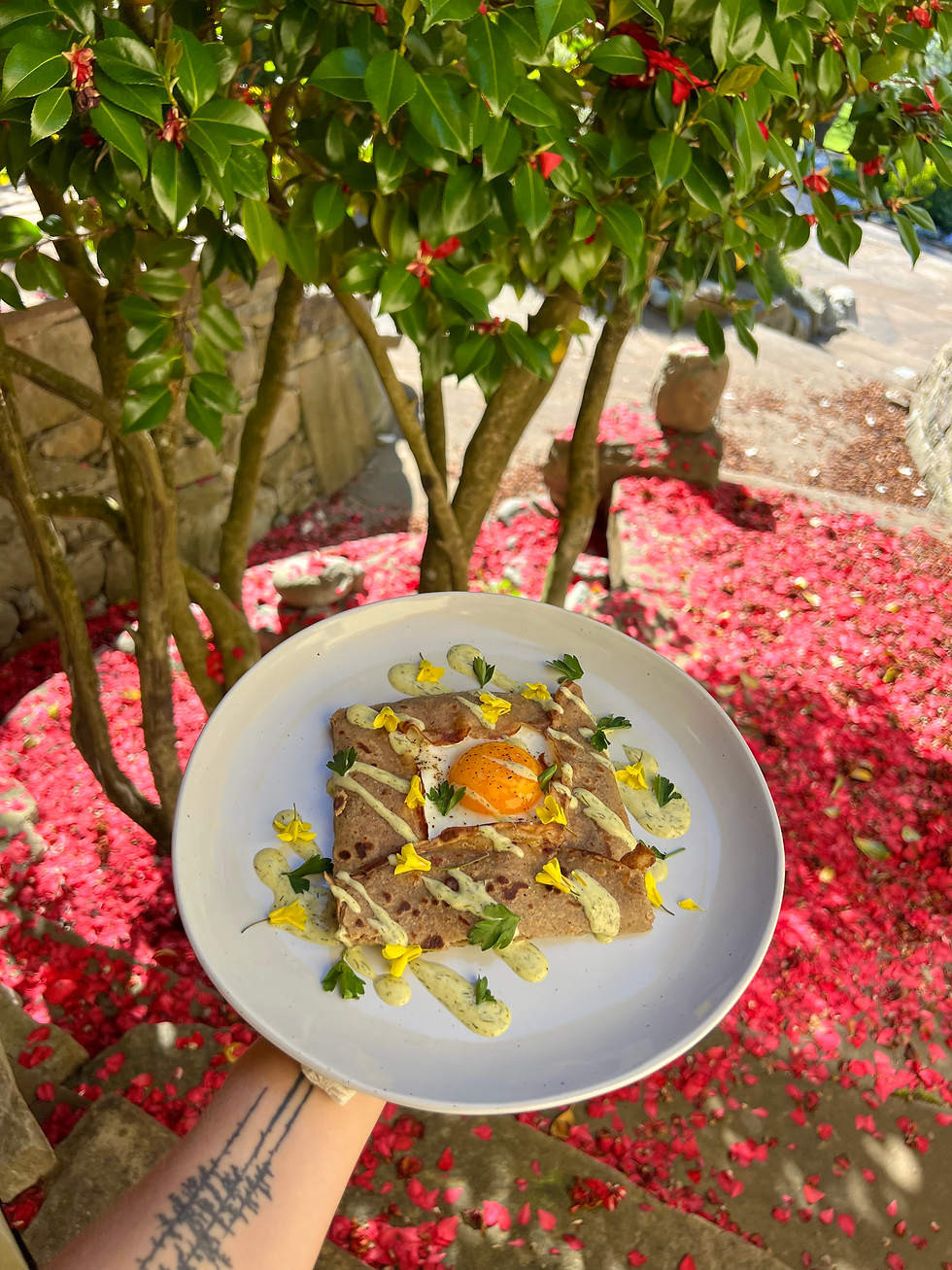Buckwheat Crepe with a fried egg and dill hollandaise, arugula flowers against the background of the Camillia flower debris.