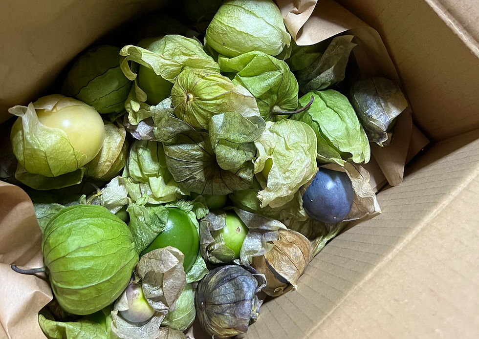 Box filled with fresh tomatillos in paper husks, showcasing green and purple hues. Items are layered in brown paper, creating a rustic look.