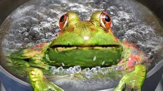 Quiro… ¡que no nos pase como al sapo! 🐸