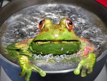 Quiro… ¡que no nos pase como al sapo! 🐸