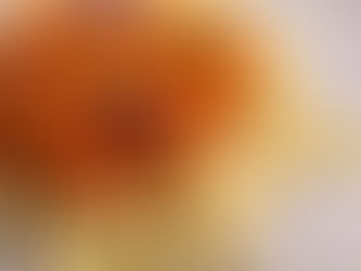 Swedish Turkey Sausage Stroganoff (Korv Stroganoff)