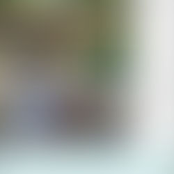 書影がでました