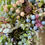 Thumbnail: Nordic Winterberry Everlasting Christmas Wreath