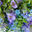 Thumbnail: Nordic Summer Everlasting Wreath with blue and lilac flowers
