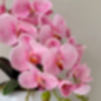 Thumbnail: pink-real-touch-orchid-in-white-ceramic-bowl-whispering-lily.jpeg