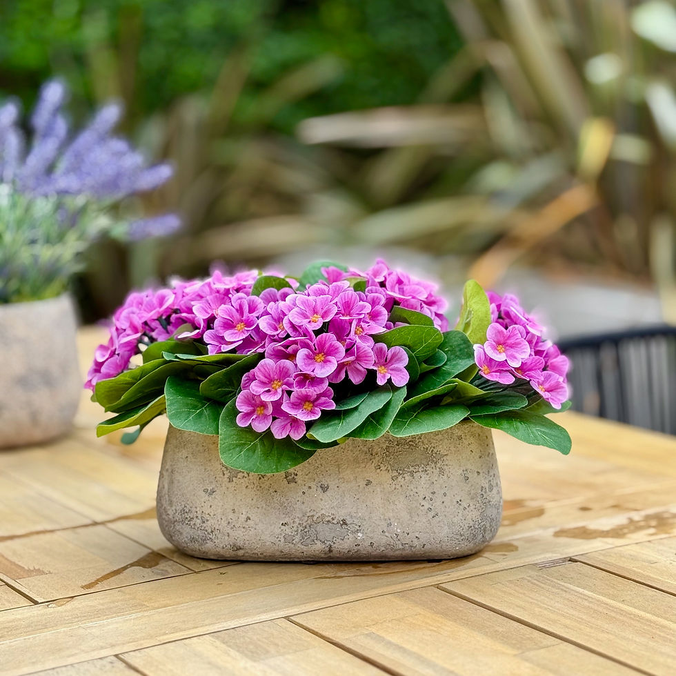 potted faux blush pink primrose