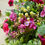Thumbnail: Everlasting Summer Wreath with Magenta Flowers