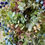 Thumbnail: Nordic Winterberry Everlasting Christmas Wreath