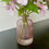 Thumbnail: pink cosmos in resin water