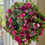 Thumbnail: Everlasting Summer Wreath with Magenta Flowers