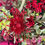 Thumbnail: Indulgent Christmas Everlasting Wreath