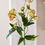 Thumbnail: side view of yellow faux hellebores