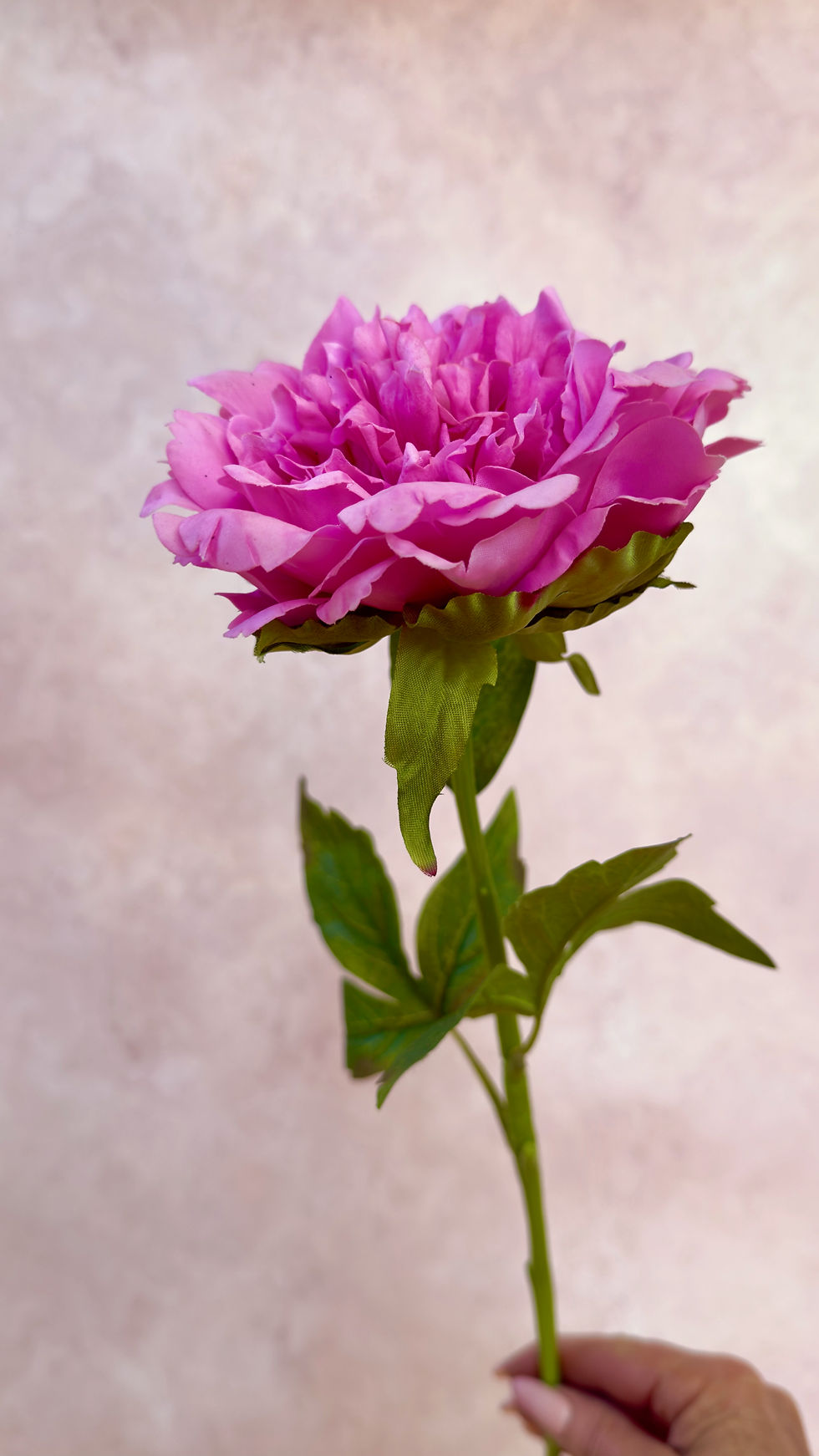 Thumbnail: hot-pink-peony-faux-flower-stem-whispering-lily