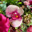 Thumbnail: Everlasting Summer Wreath with Magenta Flowers