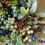 Thumbnail: Nordic Winterberry Everlasting Christmas Wreath