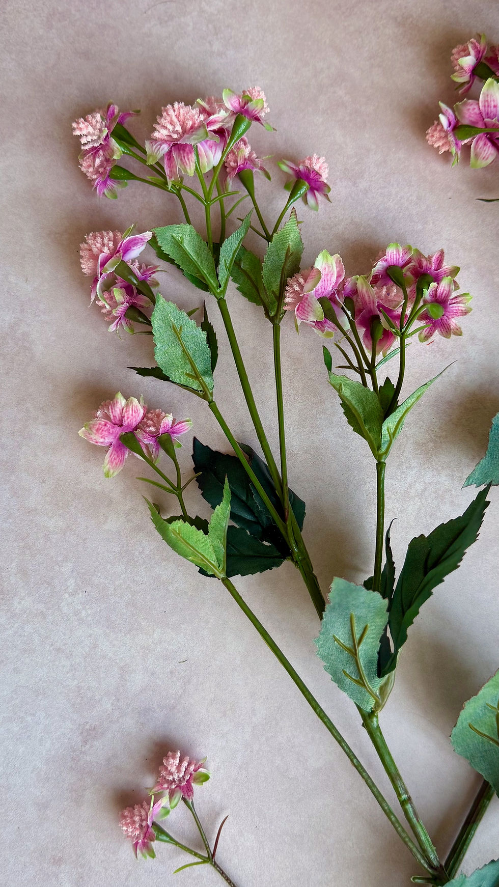 Thumbnail: pink-astrantia-faux-flower-stems-whispering-lily.jpg