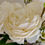 Thumbnail: Faux Ranunculus & Wax Flowers in Faux Water