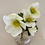 Thumbnail: artificial white hellebores in fake water