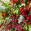 Thumbnail: Scarlett  Winterberry Everlasting Christmas Wreath