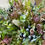 Thumbnail: Nordic Christmas Everlasting Wreath