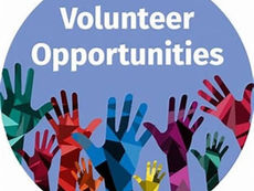 Top 5 Global Volunteer Opportunities to Apply for in 2025/2026