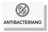Novo Projeto (2).png