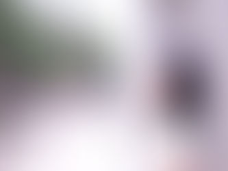 人間の本質は、光