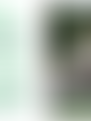 Campanha de Vacinação Febre Aftosa