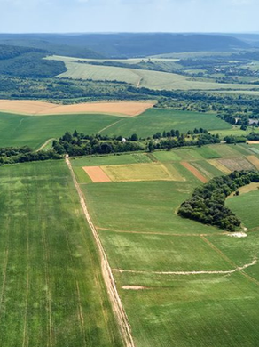 PRODUTORES COM O CAR ANALISADO TERÃO REDUÇÃO DE 0,5% NA TAXA DE JUROS DE CUSTEIO