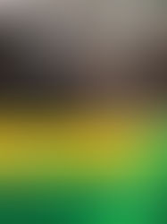 DIA NACIONAL DO SUINOCULTOR