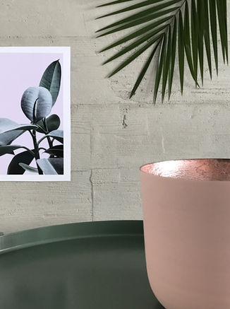 Premium event chairs for sale in South Africa