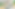 BBC banner1.png
